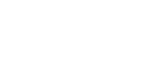 AAAAI Logo - White serif type with flame between letter A and I