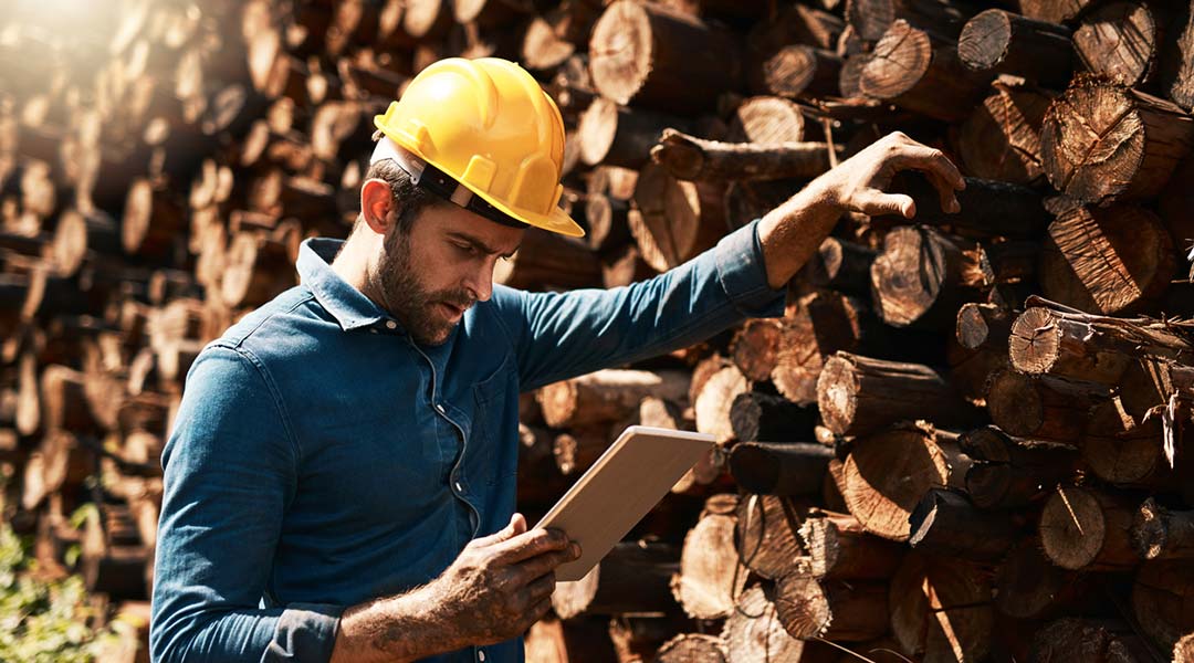 Cropped shot of a lumberjack using his tablet while standing in front of a pile of wood