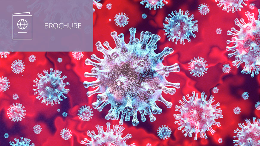Illustration of COVID-19 virus and white sans-serif type in upper left on muted lavender background with brochure icon
