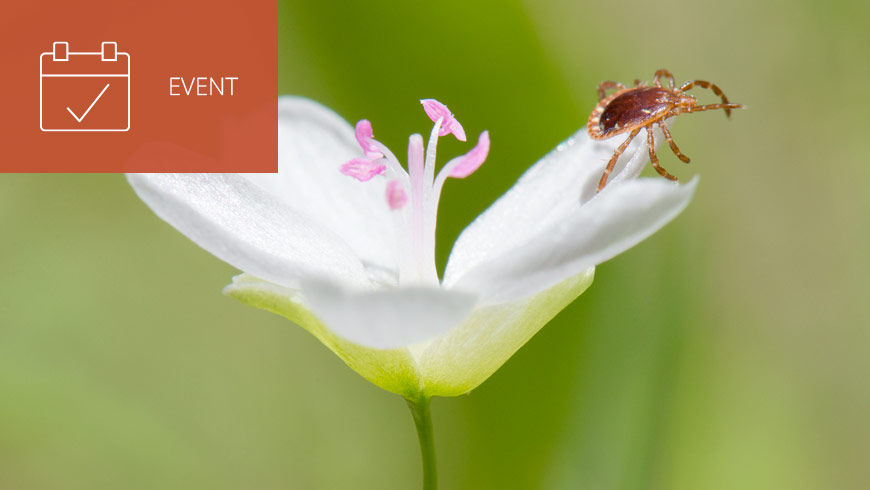 Photo of lone star tick on flower and white sans-serif type in upper left on dark orange background with event icon