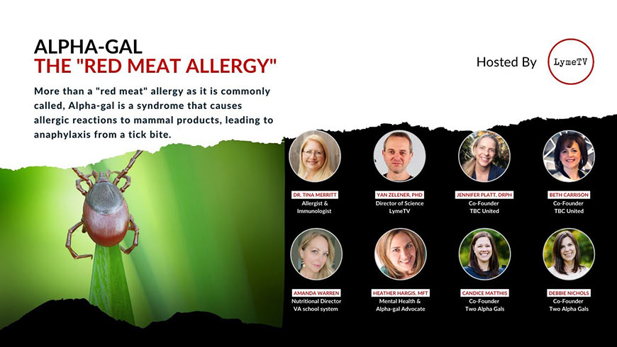 Screen shot of 2022 LymeTV Alpha-gal the Red Meat Allergy Panel webinar